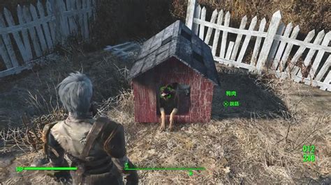 fallout 4 how to build dog house|locate dogmeat in fallout 4.